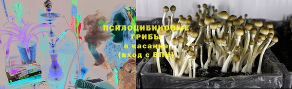 каннабис Белоозёрский