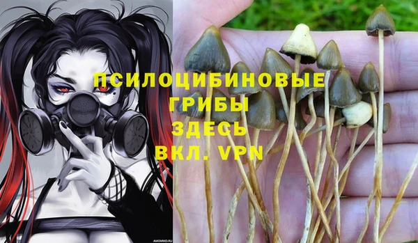 ALPHA-PVP Богородицк