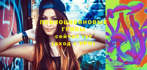 apvp Верея