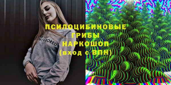 ALPHA-PVP Богородицк