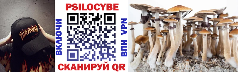 Псилоцибиновые грибы Cubensis  где купить   Воткинск 